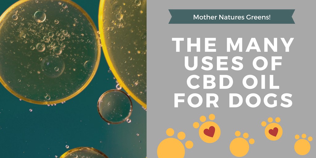 CBD Oil Large 
      Bottle Cosby 
      TN 37722